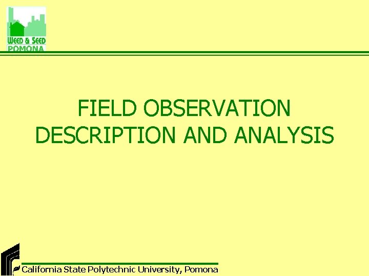 FIELD OBSERVATION DESCRIPTION AND ANALYSIS California State Polytechnic University, Pomona 