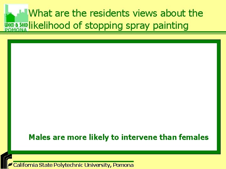 What are the residents views about the likelihood of stopping spray painting Males are