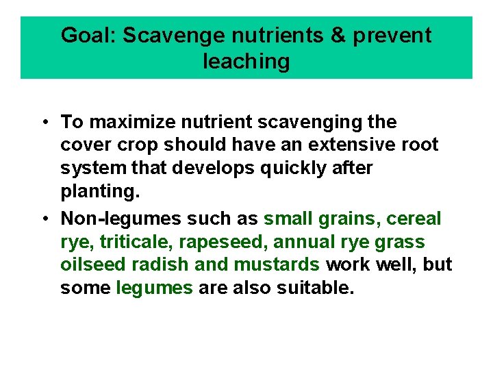Goal: Scavenge nutrients & prevent leaching • To maximize nutrient scavenging the cover crop