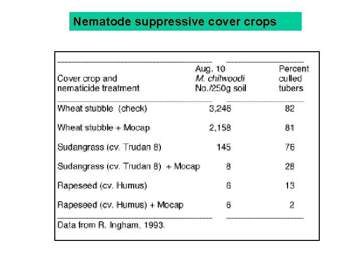 Nematode suppressive cover crops 