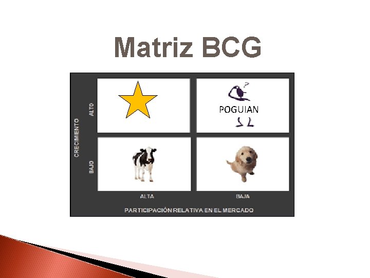  Matriz BCG POGUIAN 