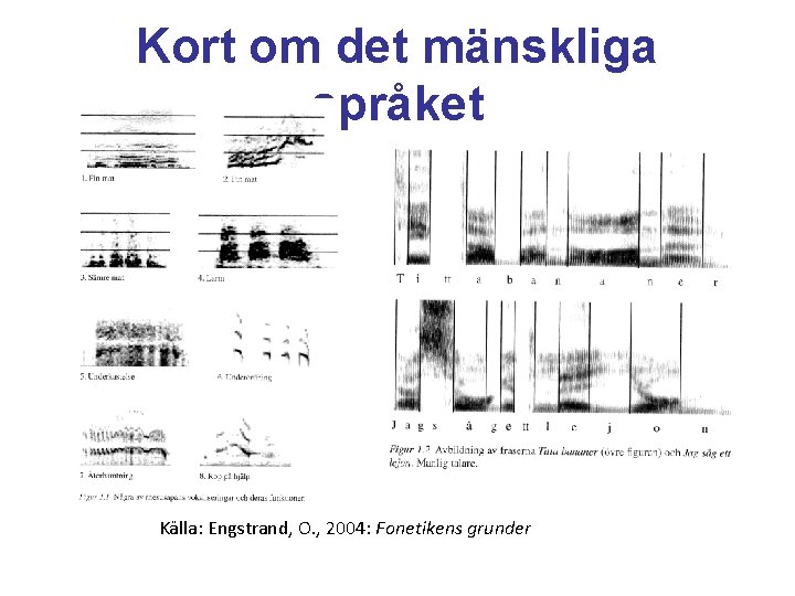 Kort om det mänskliga språket Källa: Engstrand, O. , 2004: Fonetikens grunder 