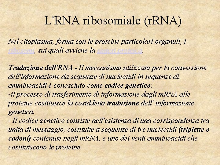 L'RNA ribosomiale (r. RNA) Nel citoplasma, forma con le proteine particolari organuli, i ribosomi,