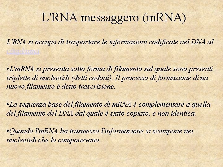 L'RNA messaggero (m. RNA) L'RNA si occupa di trasportare le informazioni codificate nel DNA