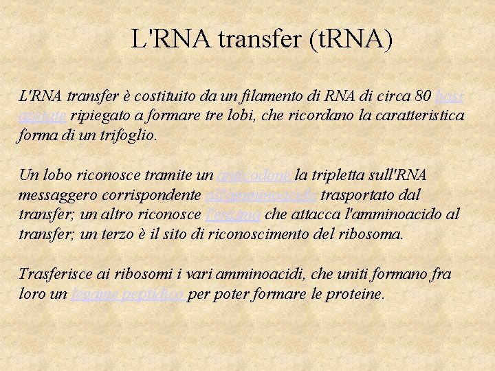 L'RNA transfer (t. RNA) L'RNA transfer è costituito da un filamento di RNA di