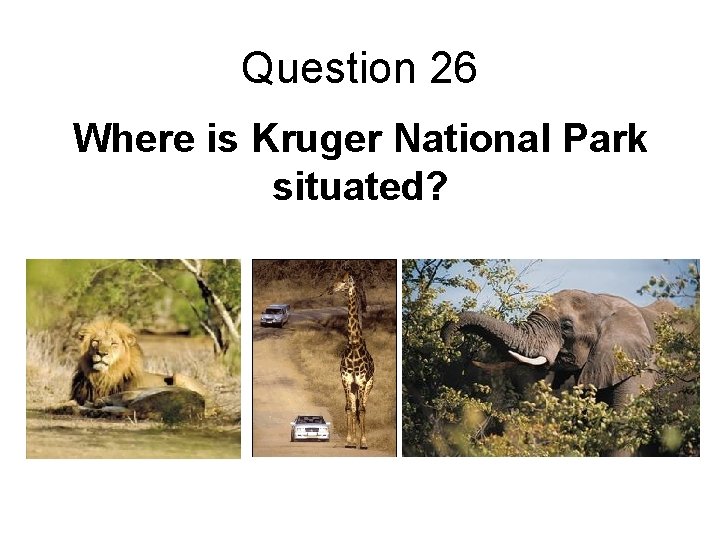 Question 26 Where is Kruger National Park situated? 