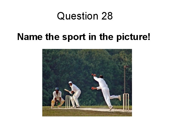 Question 28 Name the sport in the picture! 