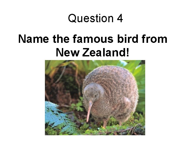 Question 4 Name the famous bird from New Zealand! 