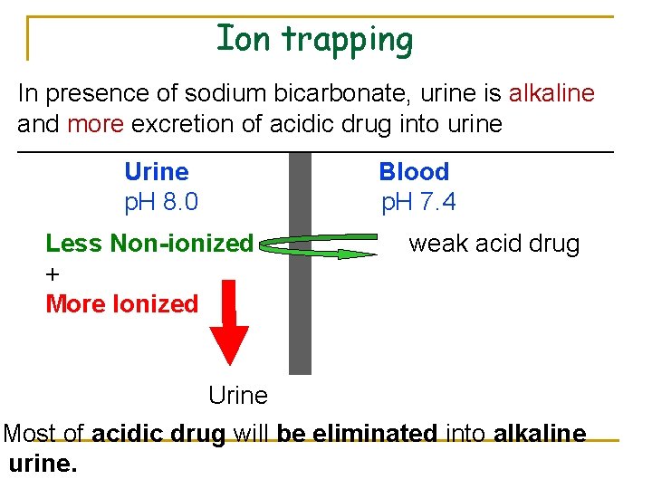 Ion trapping In presence of sodium bicarbonate, urine is alkaline and more excretion of