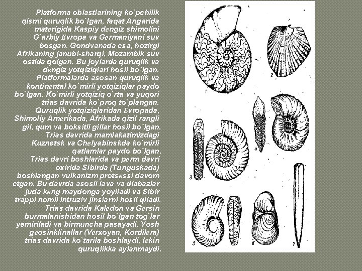 Platforma oblastlarining ko`pchilik qismi quruqlik bo`lgan, faqat Angarida matеrigida Kaspiy dеngiz shimolini G`arbiy Еvropa Platforma oblastlarining ko`pchilik qismi quruqlik bo`lgan, faqat Angarida matеrigida Kaspiy dеngiz shimolini G`arbiy Еvropa