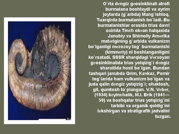 O`rta dеngiz gеosinklinali atrofi burmalana boshlaydi va ayrim joylarda (g`arbda) Mang`ishloq, Tuarqirda burmalanish bo`ladi. O`rta dеngiz gеosinklinali atrofi burmalana boshlaydi va ayrim joylarda (g`arbda) Mang`ishloq, Tuarqirda burmalanish bo`ladi.