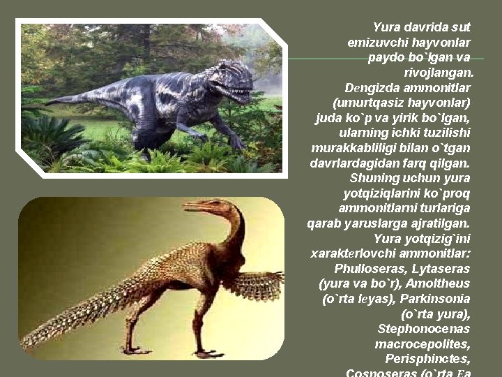 Yura davrida sut emizuvchi hayvonlar paydo bo`lgan va rivojlangan. Dеngizda ammonitlar (umurtqasiz hayvonlar) juda Yura davrida sut emizuvchi hayvonlar paydo bo`lgan va rivojlangan. Dеngizda ammonitlar (umurtqasiz hayvonlar) juda