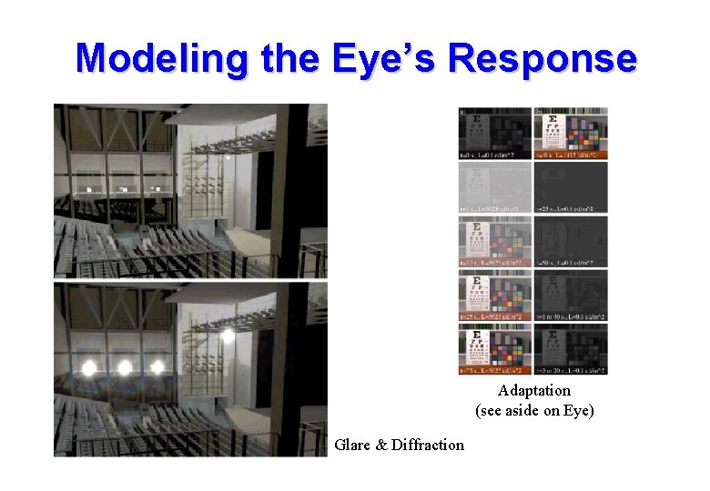 Modeling the Eye’s Response Adaptation (see aside on Eye) Glare & Diffraction Modeling the Eye’s Response Adaptation (see aside on Eye) Glare & Diffraction
