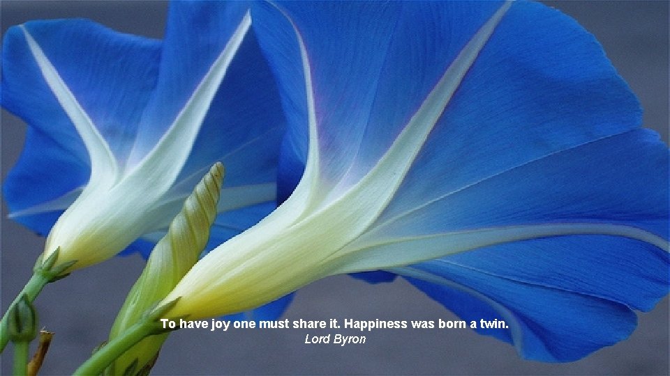 To have joy one must share it. Happiness was born a twin. Lord Byron