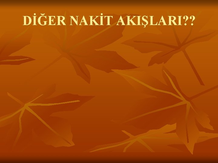 DİĞER NAKİT AKIŞLARI? ? 