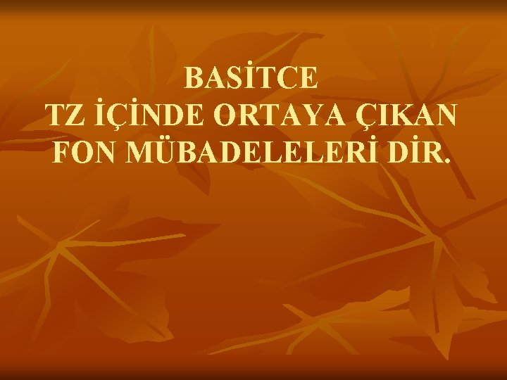 BASİTCE TZ İÇİNDE ORTAYA ÇIKAN FON MÜBADELELERİ DİR. 