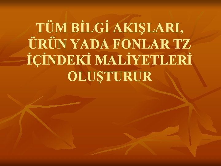 TÜM BİLGİ AKIŞLARI, ÜRÜN YADA FONLAR TZ İÇİNDEKİ MALİYETLERİ OLUŞTURUR 