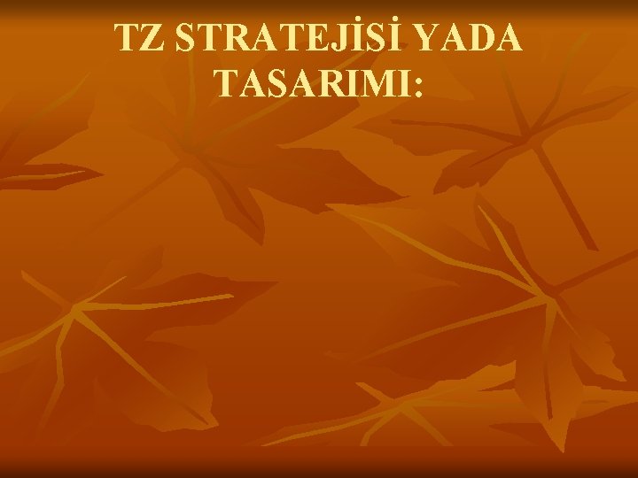 TZ STRATEJİSİ YADA TASARIMI: 