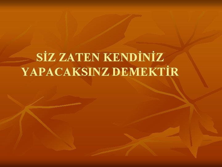 SİZ ZATEN KENDİNİZ YAPACAKSINZ DEMEKTİR 