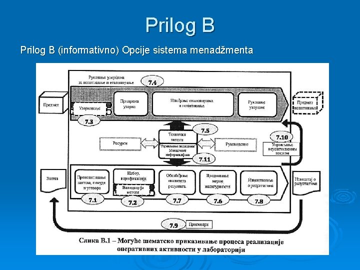 Prilog B (informativno) Opcije sistema menadžmenta 