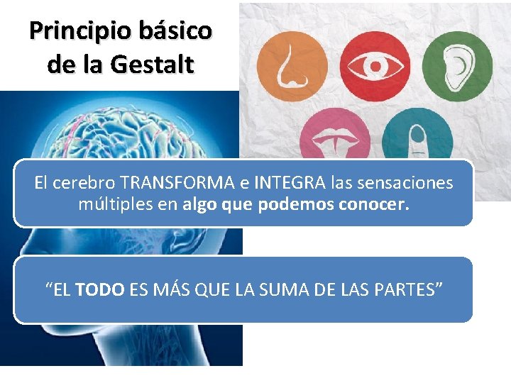 Principio básico de la Gestalt El cerebro TRANSFORMA e INTEGRA las sensaciones múltiples en