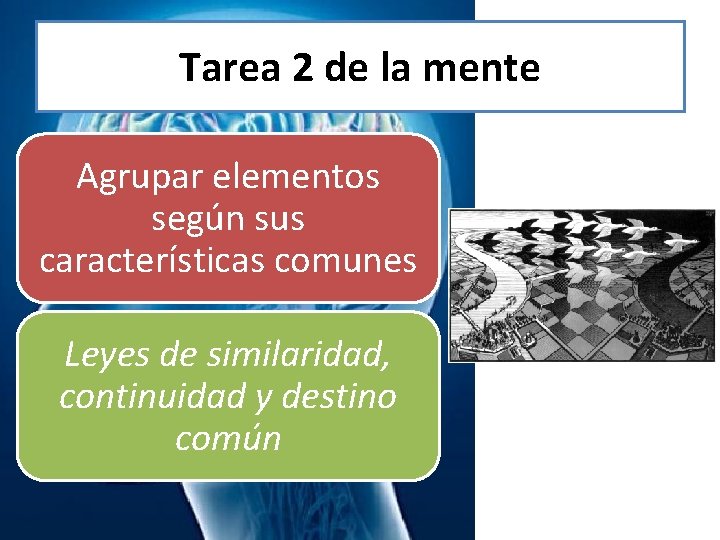 Tarea 2 de la mente Agrupar elementos según sus características comunes Leyes de similaridad,