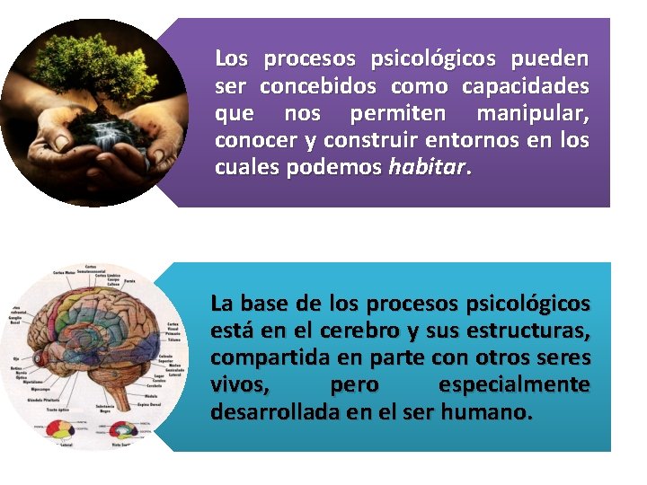 Los procesos psicológicos pueden ser concebidos como capacidades que nos permiten manipular, conocer y