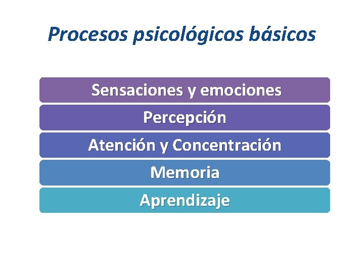 Procesos psicológicos básicos Sensaciones y emociones Percepción Atención y Concentración Memoria Aprendizaje 