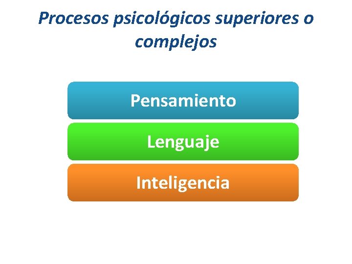 Procesos psicológicos superiores o complejos Pensamiento Lenguaje Inteligencia 