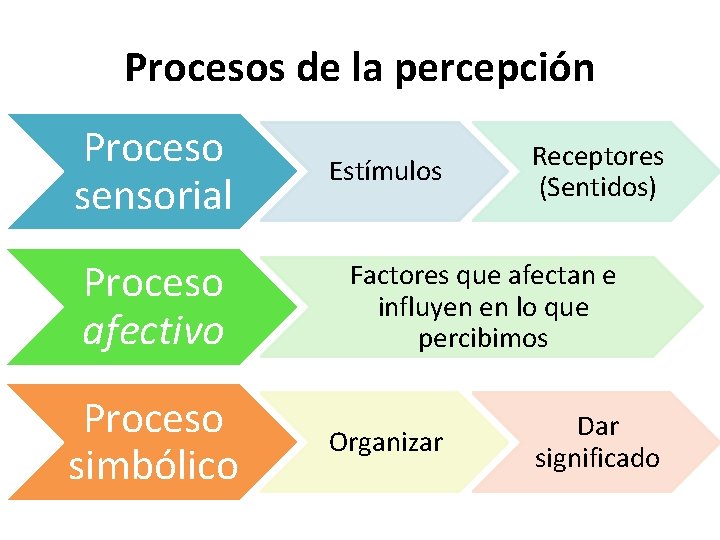 Procesos de la percepción Proceso sensorial Proceso afectivo Proceso simbólico Estímulos Receptores (Sentidos) Factores