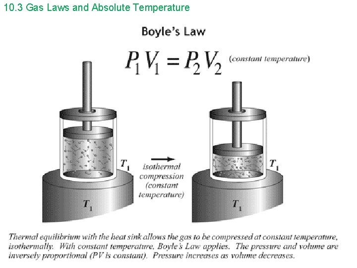 10. 3 Gas Laws and Absolute Temperature 