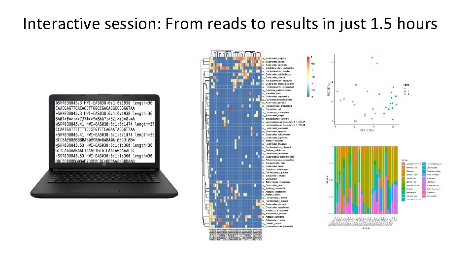 Interactive session: From reads to results in just 1. 5 hours 