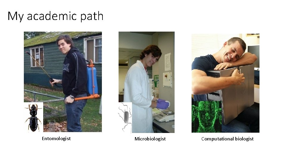 My academic path Entomologist Microbiologist Computational biologist 