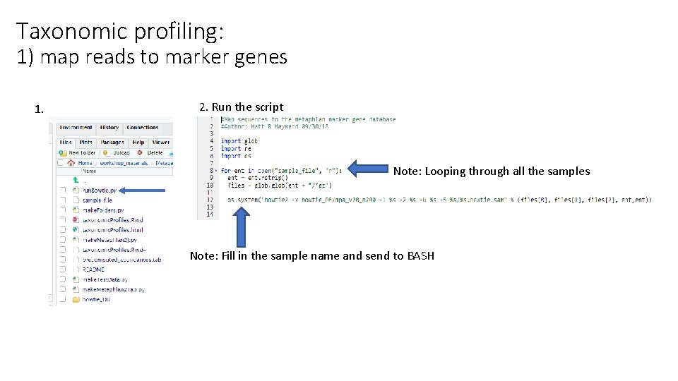 Taxonomic profiling: 1) map reads to marker genes 1. 2. Run the script Note: