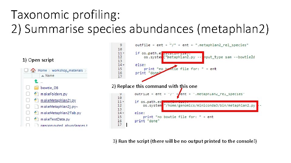 Taxonomic profiling: 2) Summarise species abundances (metaphlan 2) 1) Open script 2) Replace this