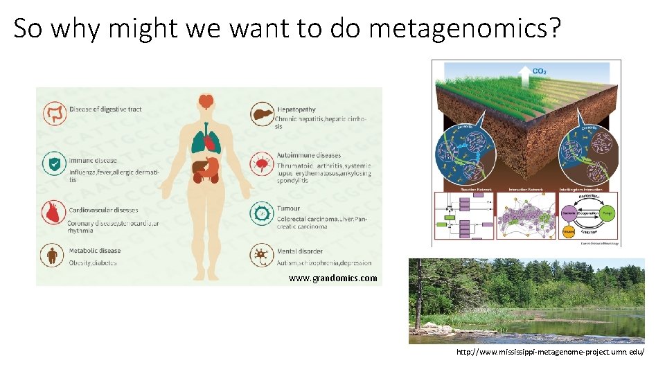 So why might we want to do metagenomics? www. grandomics. com http: //www. mississippi-metagenome-project.