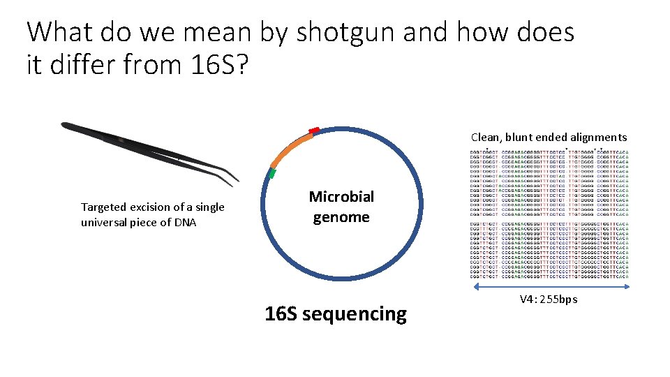 What do we mean by shotgun and how does it differ from 16 S?