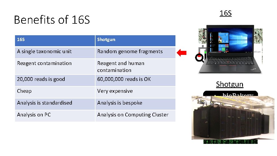 16 S Benefits of 16 S Shotgun A single taxonomic unit Random genome fragments