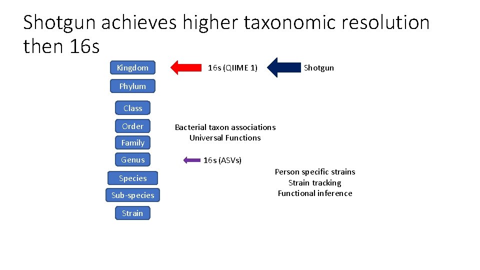 Shotgun achieves higher taxonomic resolution then 16 s Kingdom 16 s (QIIME 1) Shotgun