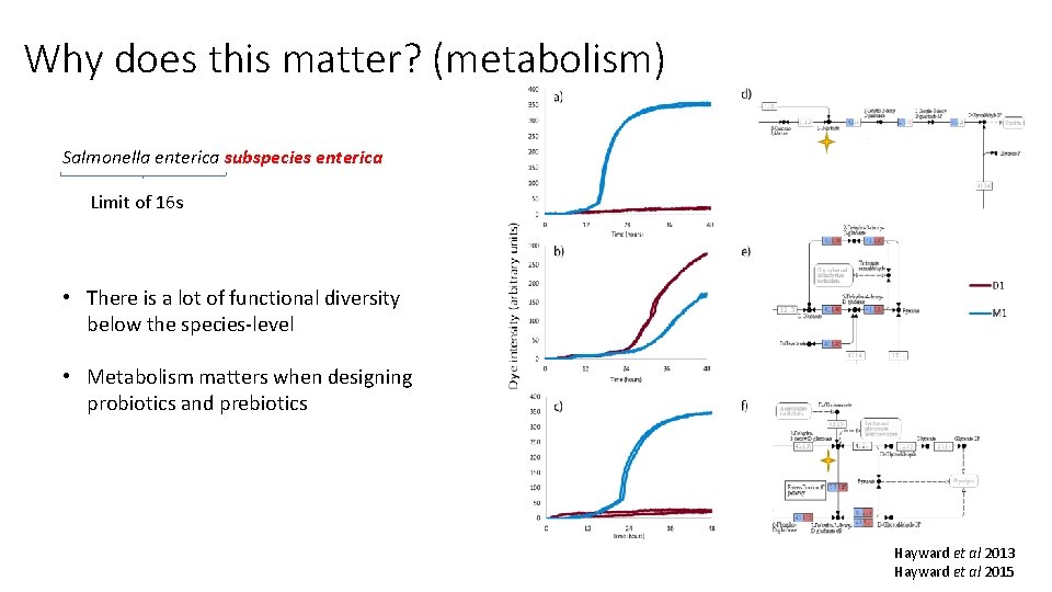 Why does this matter? (metabolism) Salmonella enterica subspecies enterica Limit of 16 s •