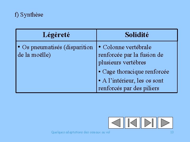 f) Synthèse Légèreté Solidité • Os pneumatisés (disparition • Colonne vertébrale de la moëlle)