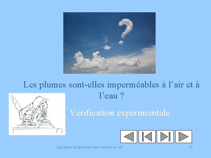 Les plumes sont-elles imperméables à l’air et à l’eau ? Vérification expérimentale Quelques adaptations