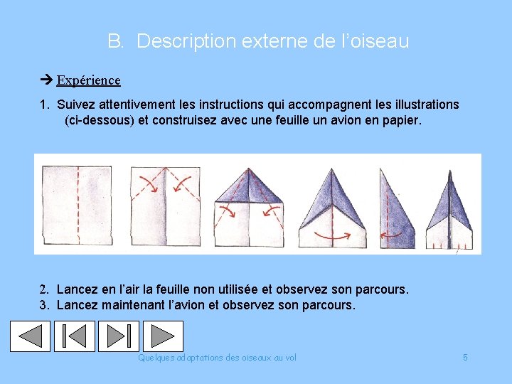 B. Description externe de l’oiseau Expérience 1. Suivez attentivement les instructions qui accompagnent les