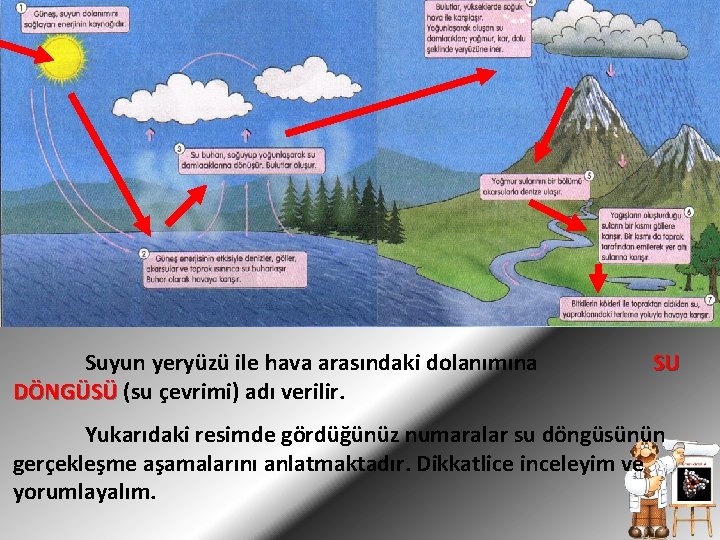 Suyun yeryüzü ile hava arasındaki dolanımına DÖNGÜSÜ (su çevrimi) adı verilir. SU Yukarıdaki resimde