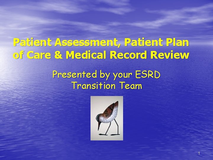 Patient Assessment, Patient Plan of Care & Medical Record Review Presented by your ESRD