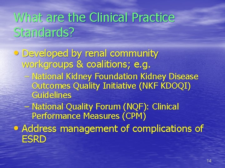 What are the Clinical Practice Standards? • Developed by renal community workgroups & coalitions;