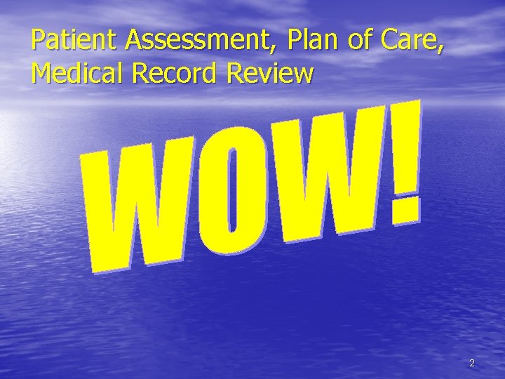 Patient Assessment, Plan of Care, Medical Record Review 2 