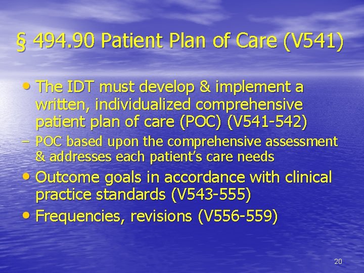 § 494. 90 Patient Plan of Care (V 541) • The IDT must develop