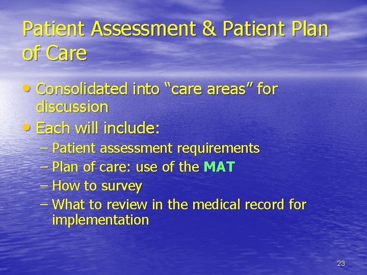 Patient Assessment & Patient Plan of Care • Consolidated into “care areas” for discussion