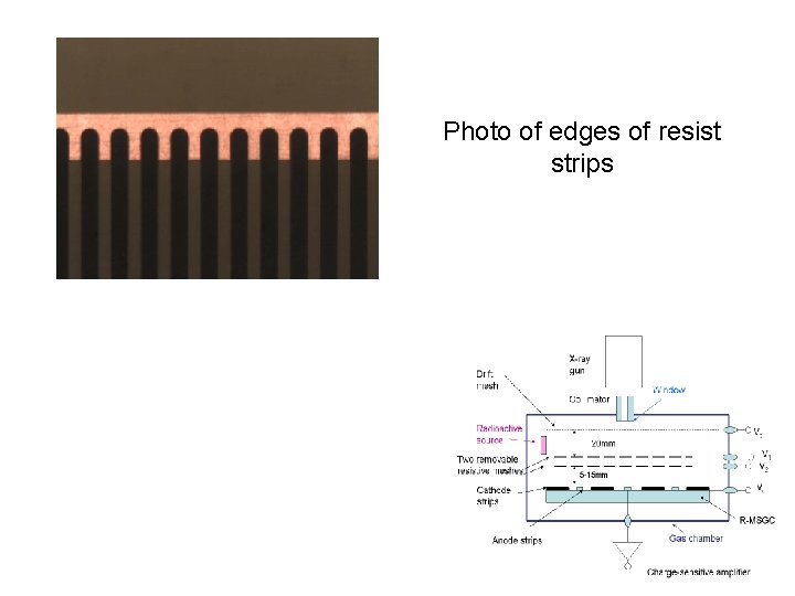 Photo of edges of resist strips 